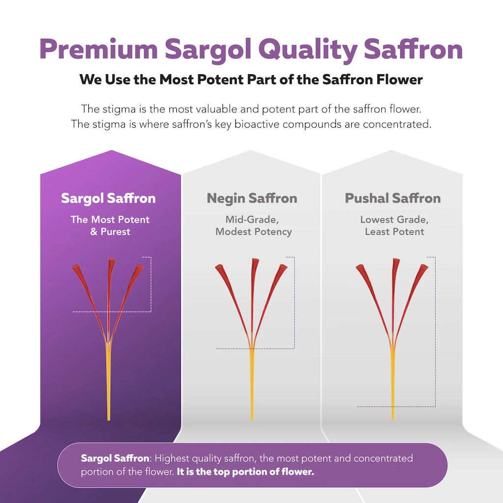 RegenaMD – SaffronRX: Saffron Extract